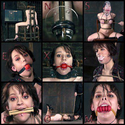 423’s Test AZ – InSex