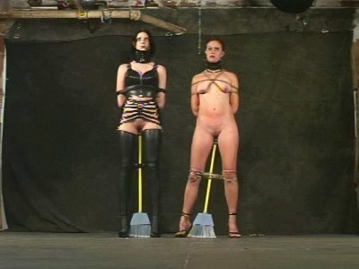 Insex – Model 411 Complete Pack (26 clips)