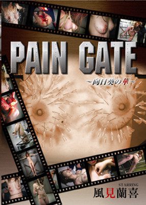 Scrum – Pain Gate