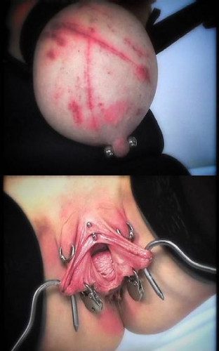 tits!