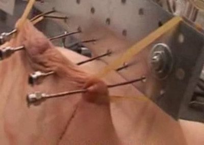 Anita Extreme Needles – TG2Club
