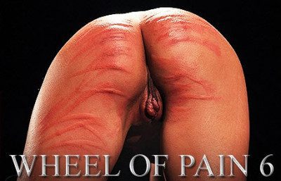 EPain – Wheel of Pain 6