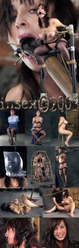 Insex – Star Struck