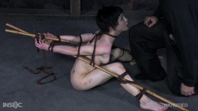 Mei Mara – Painful Delights (2020)