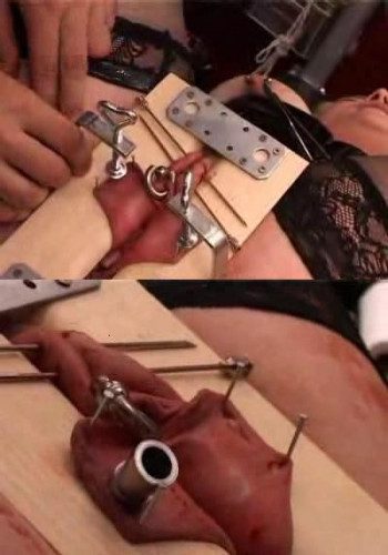 Nails, needles and pussy!