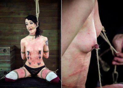 Tender bitch tolerate torture