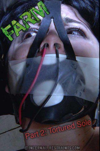 The Farm: Part 2 Tortured Sole (31.10.2014)